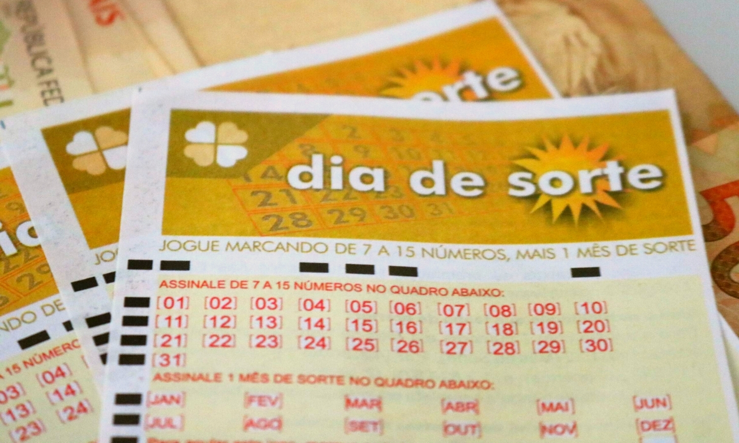 Dia de Sorte